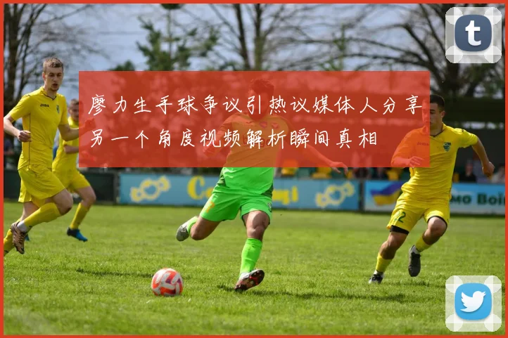 廖力生手球争议引热议媒体人分享另一个角度视频解析瞬间真相